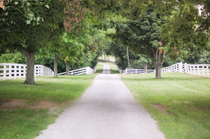 Driveway Walkway Construction