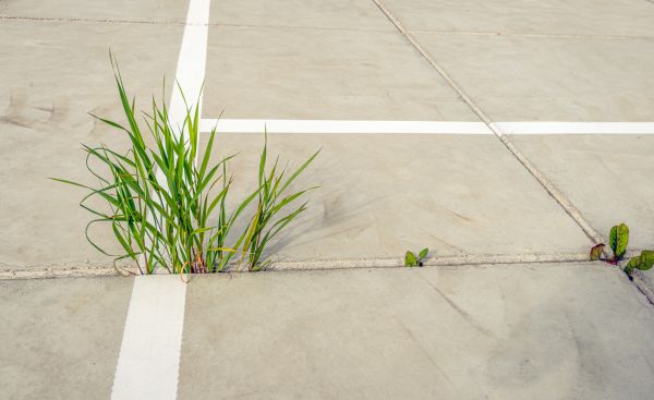 Concrete Parking Installation in Fort Wayne
